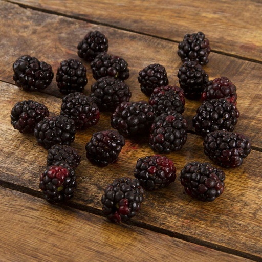 Blackberries - (case) Only available seasoning